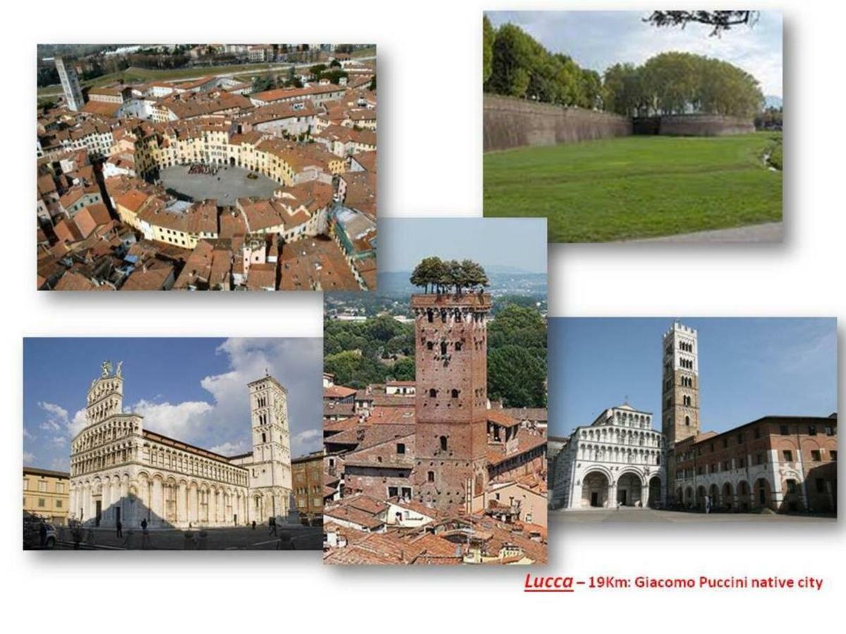 Altido Apt For 8 With Huge Terrace In Old Town Of Viareggio Exterior foto